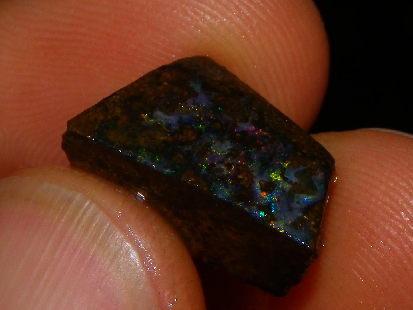 Nice Rough/Sliced/Rubbed Boulder Opal Parcel 241cts Queensland Australia :)