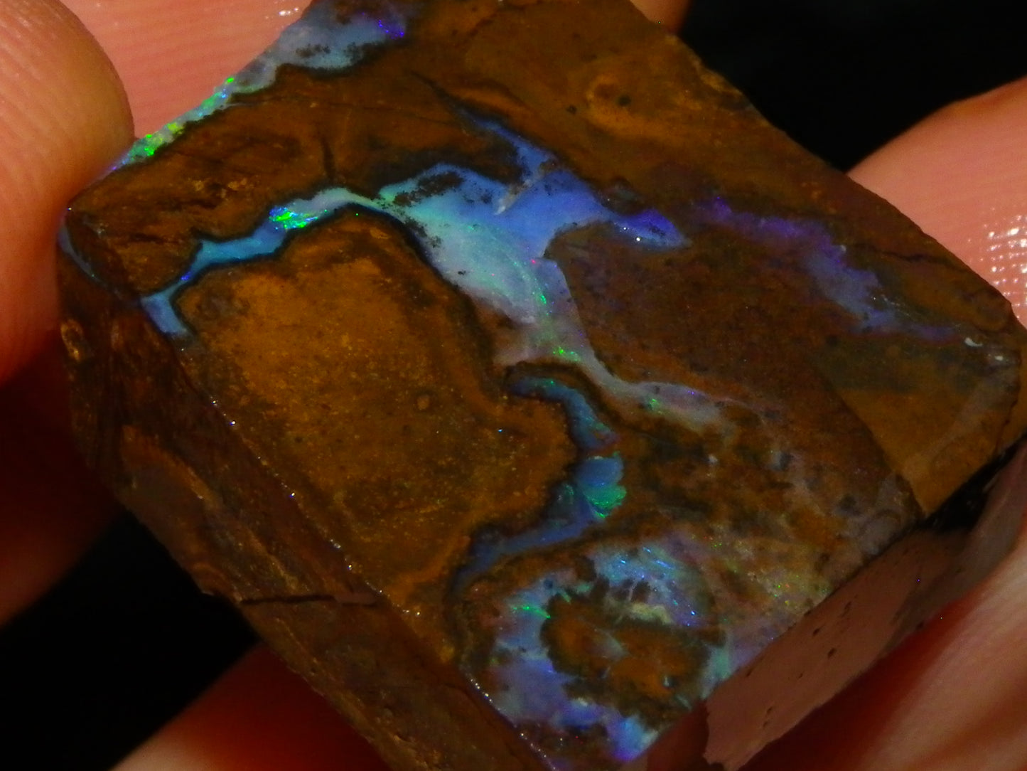 Nice Rough/Sliced/Rubbed Boulder Opal Parcel 241cts Queensland Australia :)