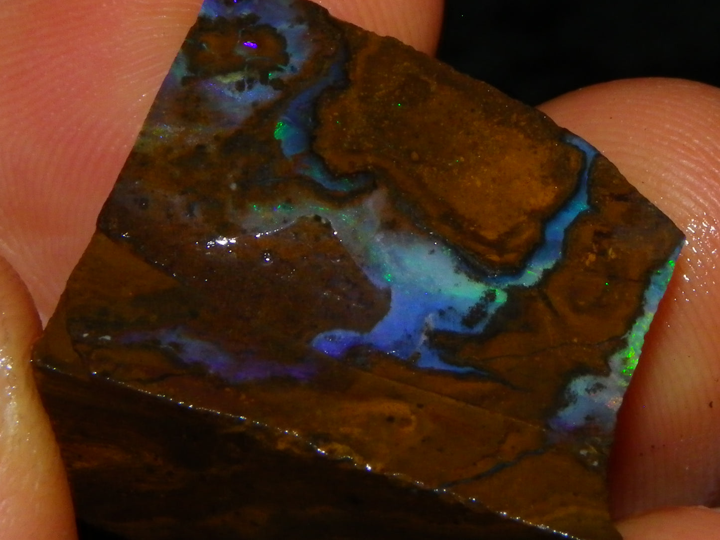 Nice Rough/Sliced/Rubbed Boulder Opal Parcel 241cts Queensland Australia :)