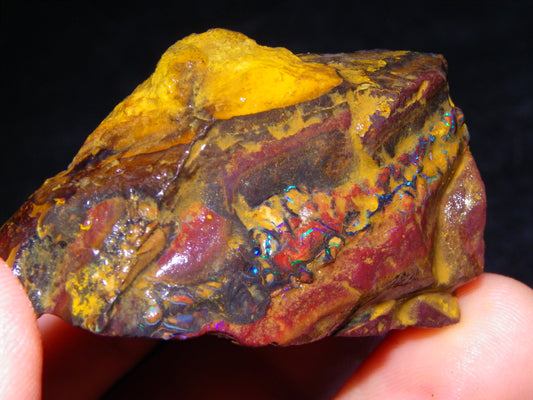 2 Larger Koroit Opal Chunks/Rough Specimens 1131cts Part Nuts, Patterns some Fires