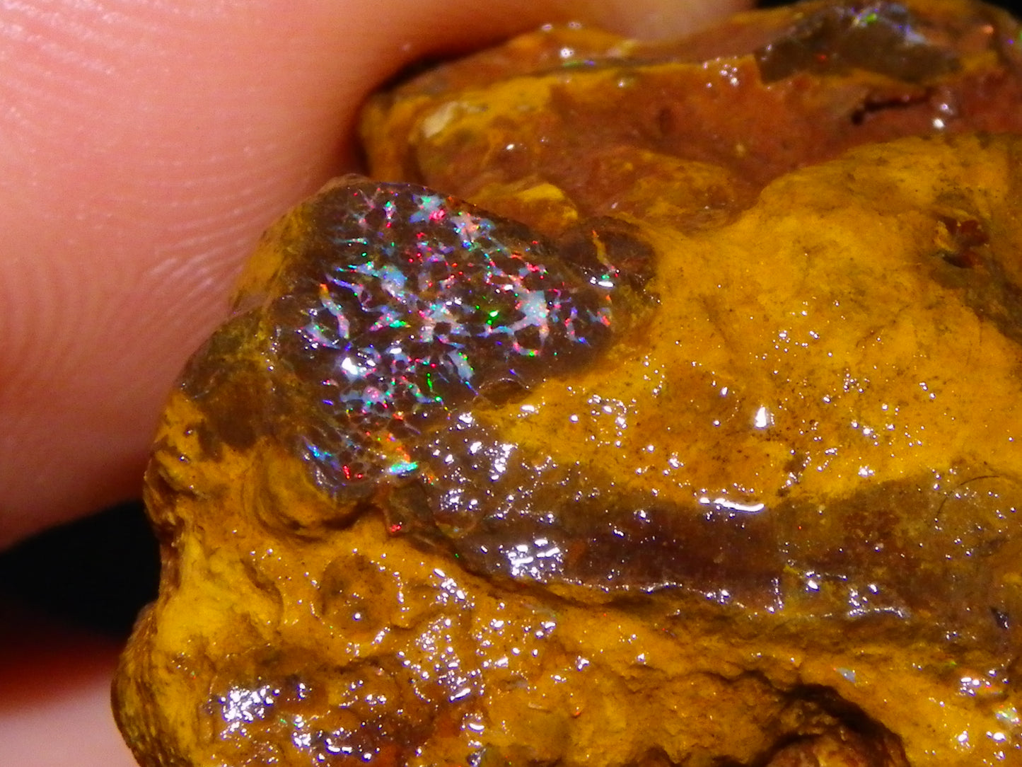 2 Nice Opaton Matrix/Seam/Bubble Opals 505cts Red/Green Fires Queensland Australia