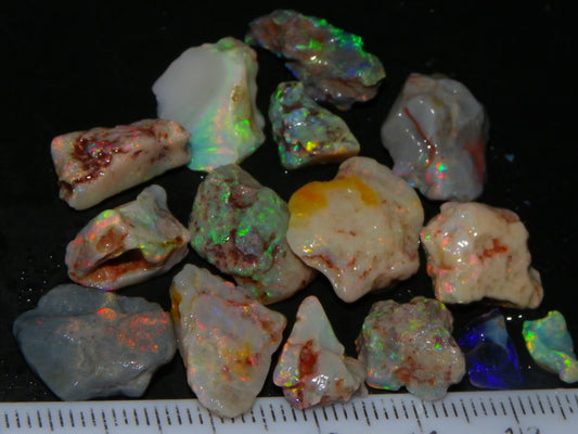 Nice Lightning Ridge Fossil/Nobby Opal Specimens 53.4cts Red/Gold/Green Fires