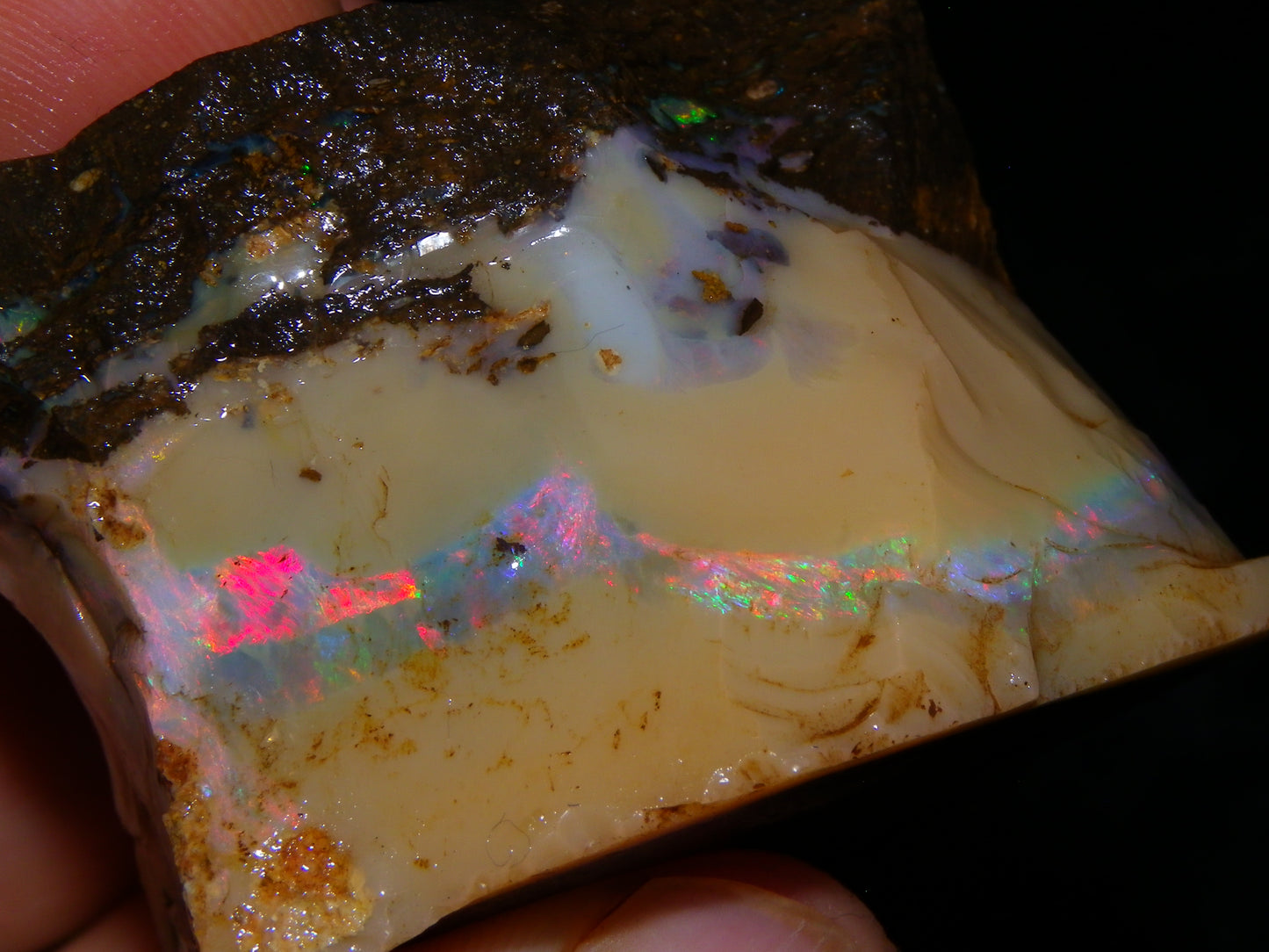 Nice Rough Boulder Opal split Specimen 693cts Ribbon of Fires across Caramel potch Winton