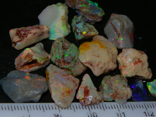 Nice Lightning Ridge Fossil/Nobby Opal Specimens 53.4cts Red/Gold/Green Fires