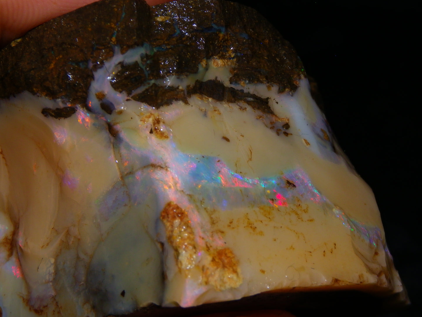 Nice Rough Boulder Opal split Specimen 693cts Ribbon of Fires across Caramel potch Winton
