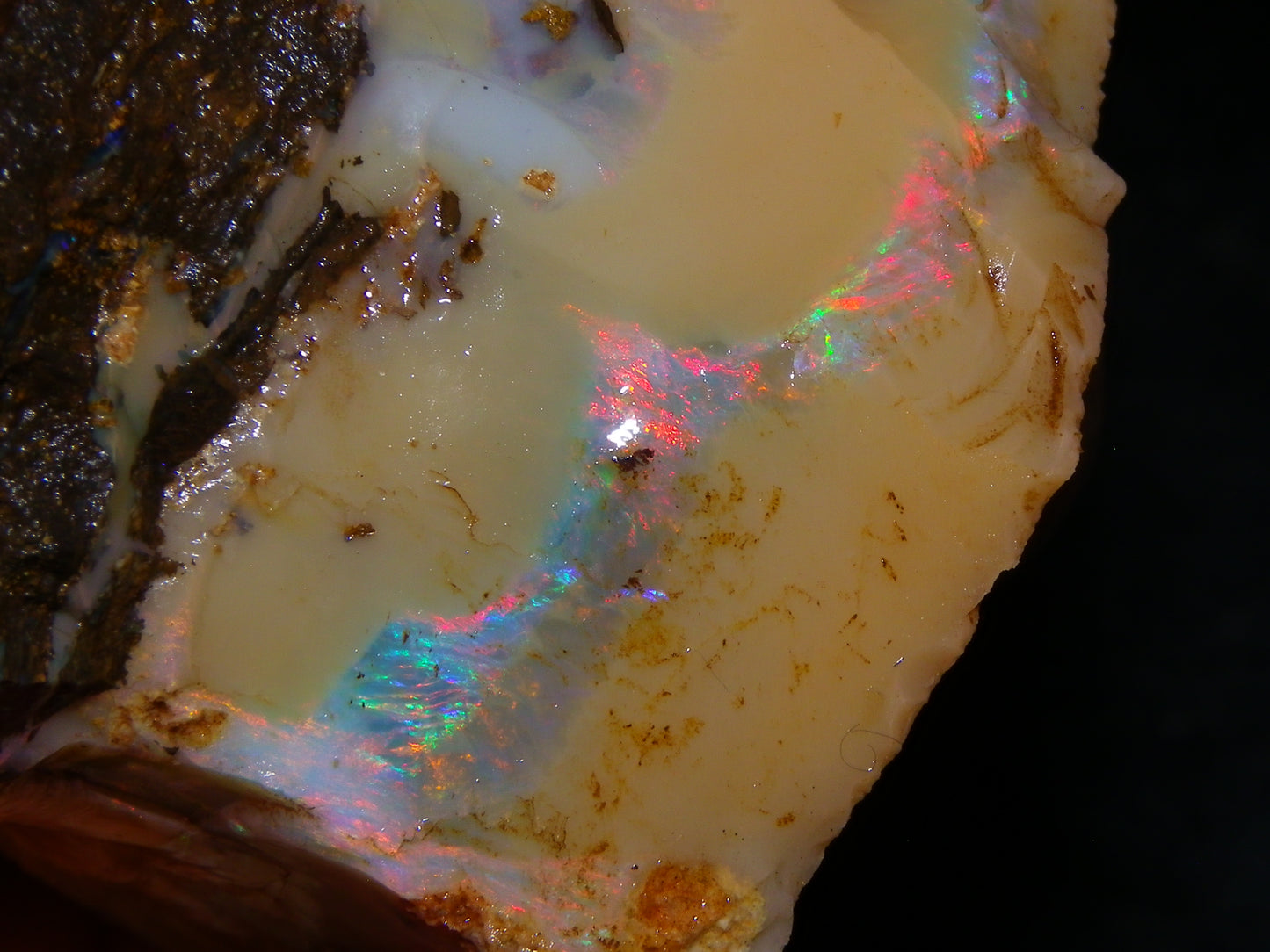Nice Rough Boulder Opal split Specimen 693cts Ribbon of Fires across Caramel potch Winton