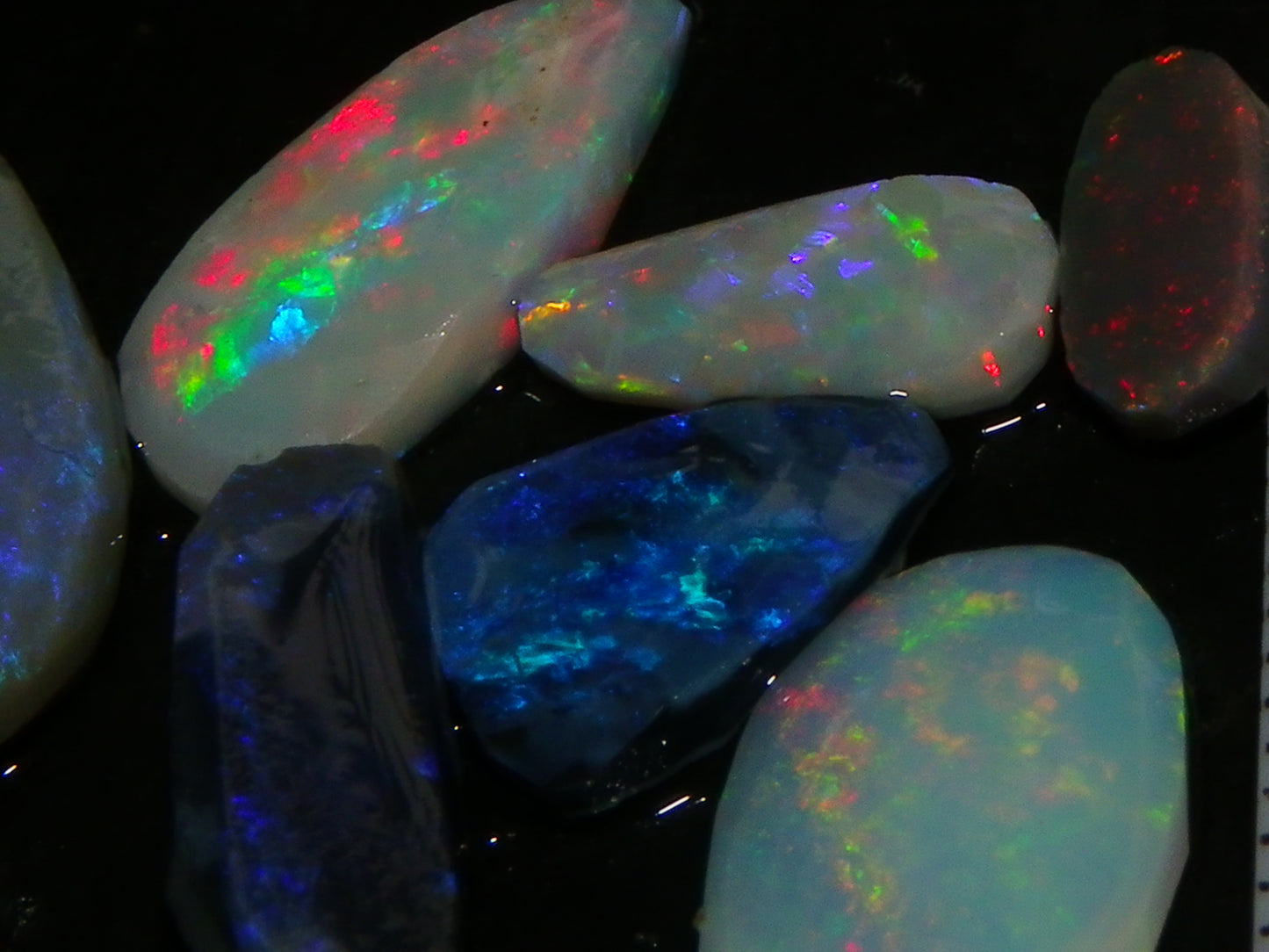 Nice Rubbed/Rough Lightning Ridge Opals 32.6cts Some Fires Pink/Blues :) Au