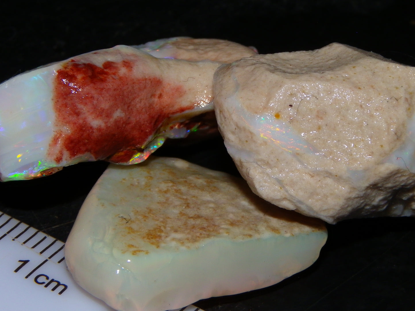 3 Nice Rough Coober Pedy Opals 78.4cts Multicolour Fires/Bars White/Crystal Base