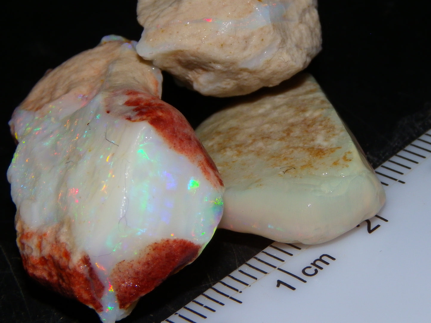 3 Nice Rough Coober Pedy Opals 78.4cts Multicolour Fires/Bars White/Crystal Base