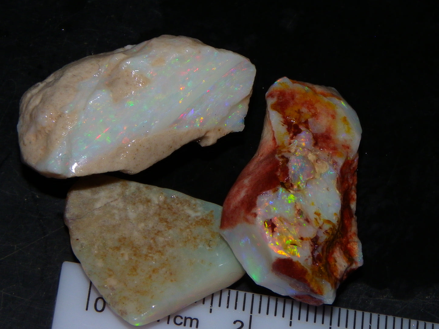 3 Nice Rough Coober Pedy Opals 78.4cts Multicolour Fires/Bars White/Crystal Base