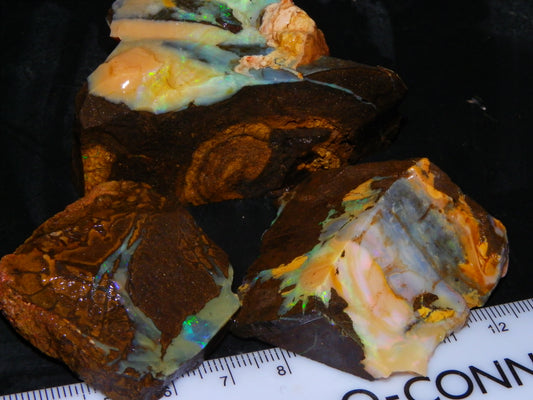 3 Nice Rough/Sliced Boulder Opals 985cts Winton Queensland Blue/Green/Pinks Australia
