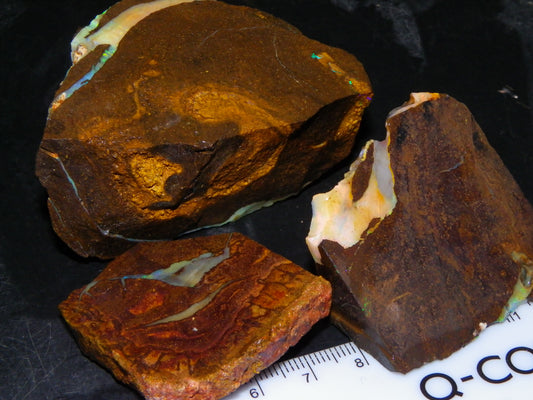 3 Nice Rough/Sliced Boulder Opals 985cts Winton Queensland Blue/Green/Pinks Australia