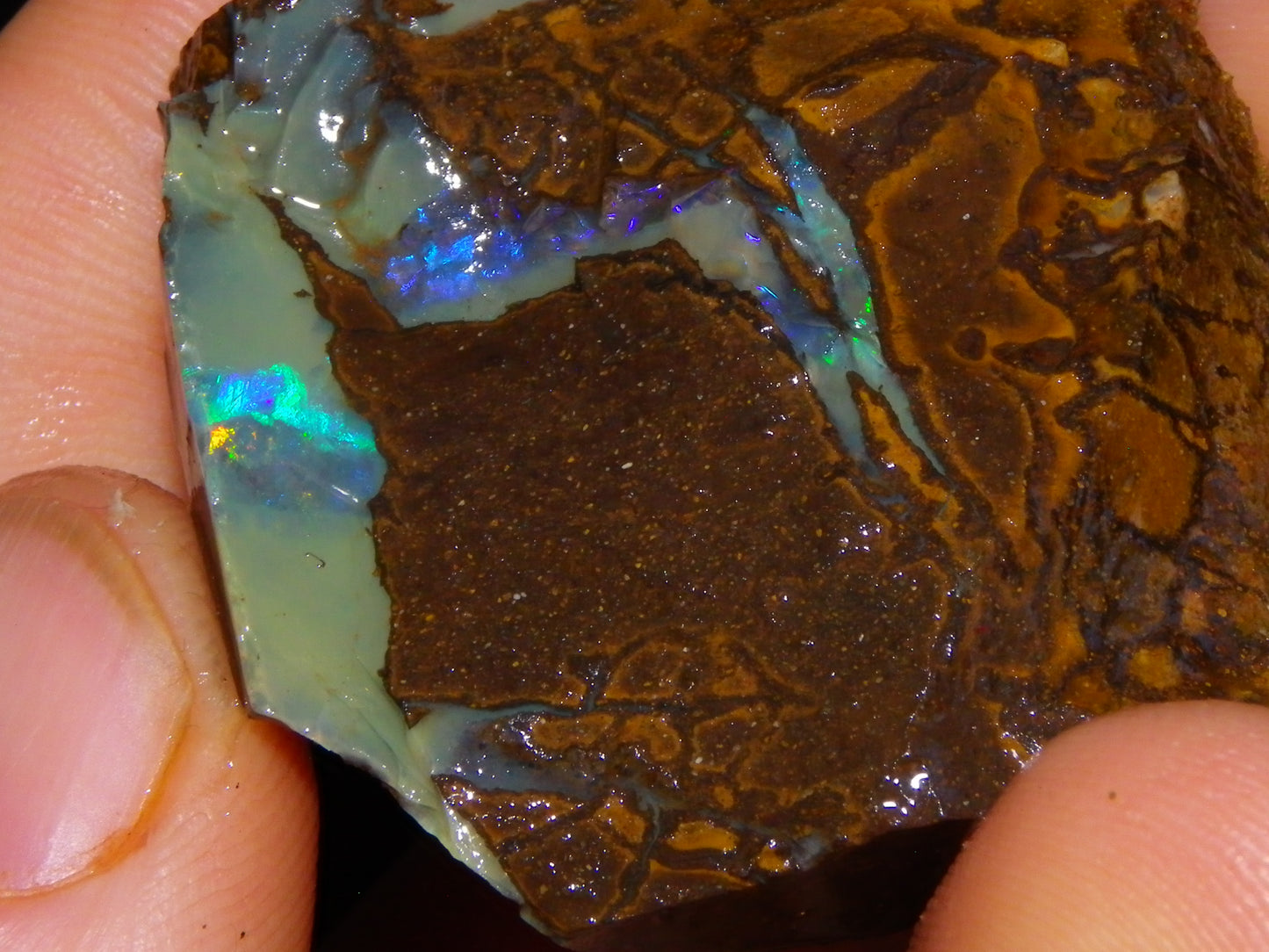 3 Nice Rough/Sliced Boulder Opals 985cts Winton Queensland Blue/Green/Pinks Australia