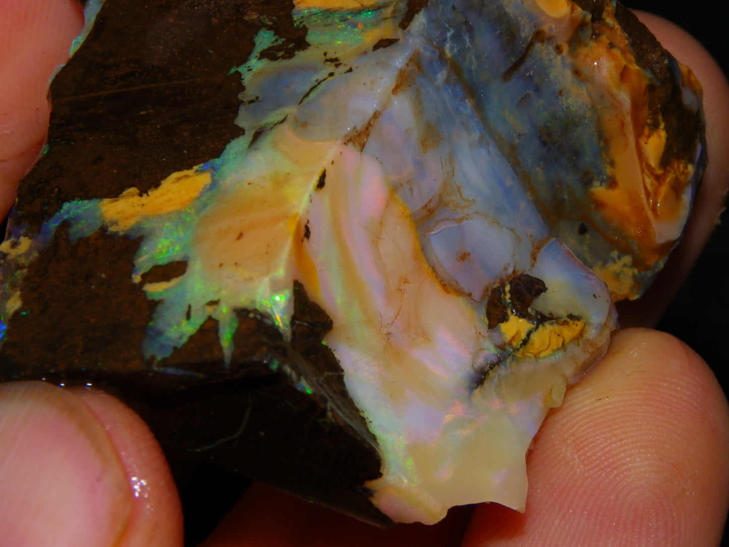3 Nice Rough/Sliced Boulder Opals 985cts Winton Queensland Blue/Green/Pinks Australia