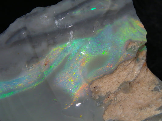 Huge 173.14cts Lightning Ridge Rough Seam Opal Grey Base Multicolour Fires/Bars