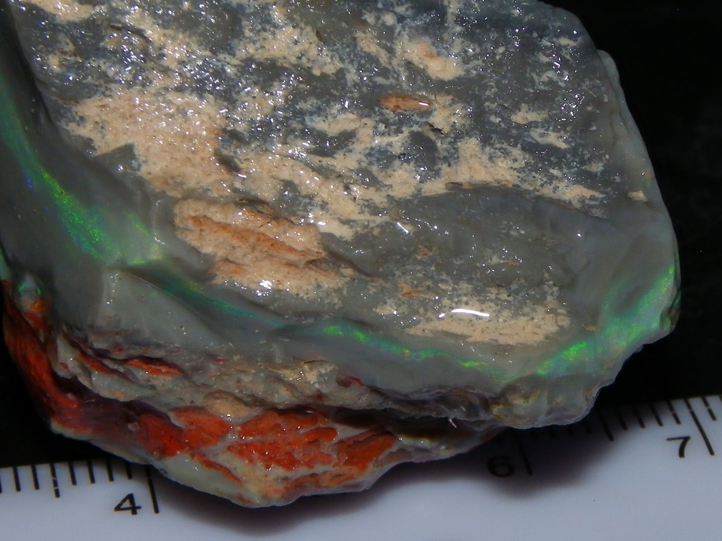Huge 173.14cts Lightning Ridge Rough Seam Opal Grey Base Multicolour Fires/Bars