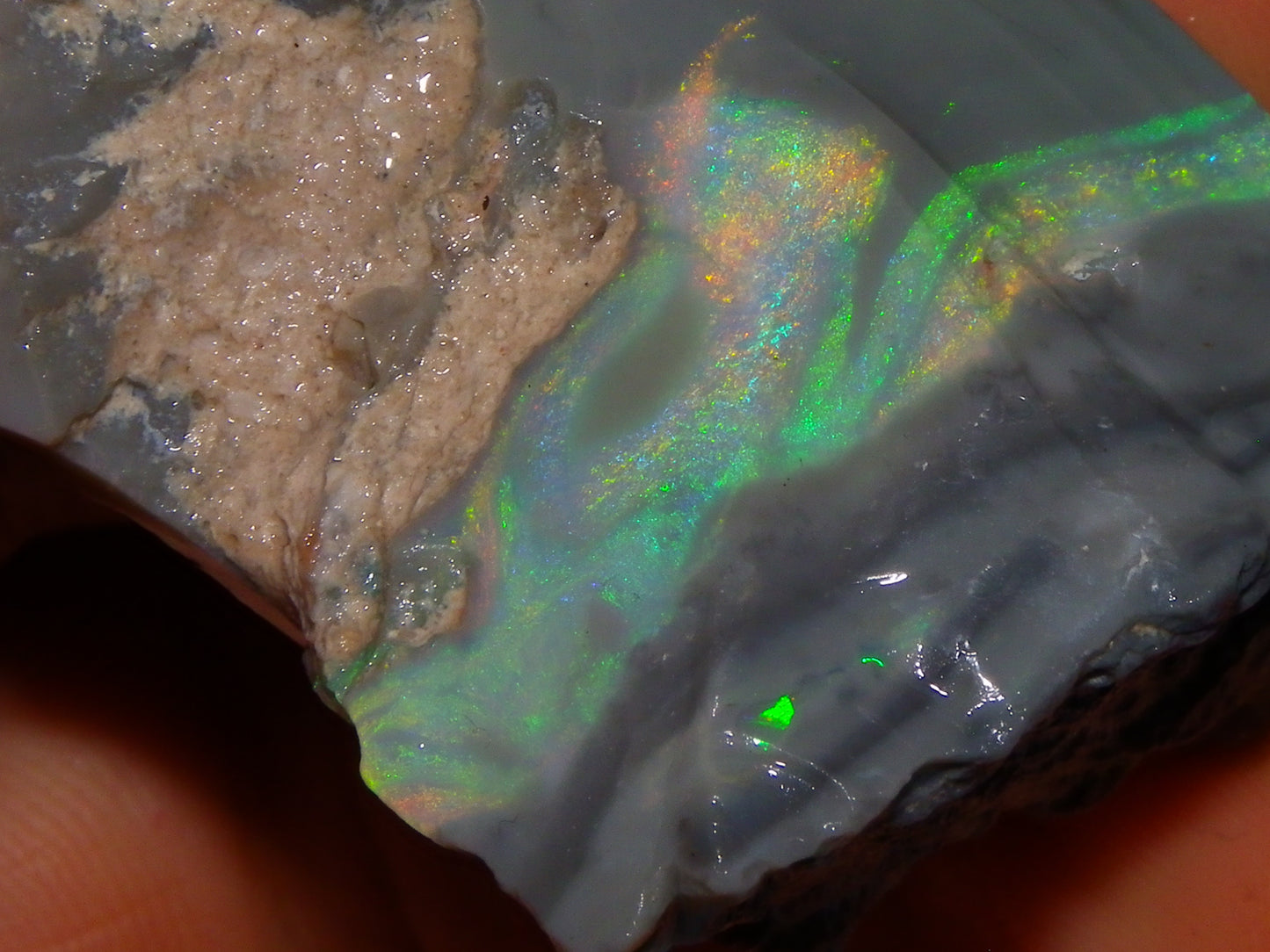 Huge 173.14cts Lightning Ridge Rough Seam Opal Grey Base Multicolour Fires/Bars