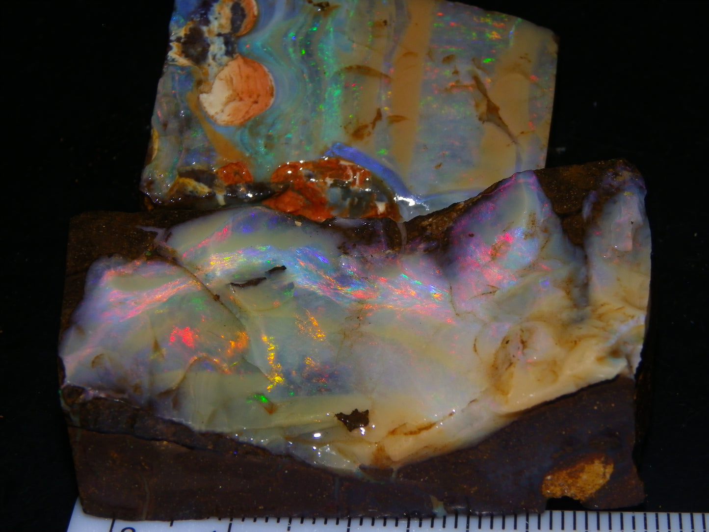 2 Nice Boulder Opal Rough Specimens 400cts Queensland Australia Fires/Patterns