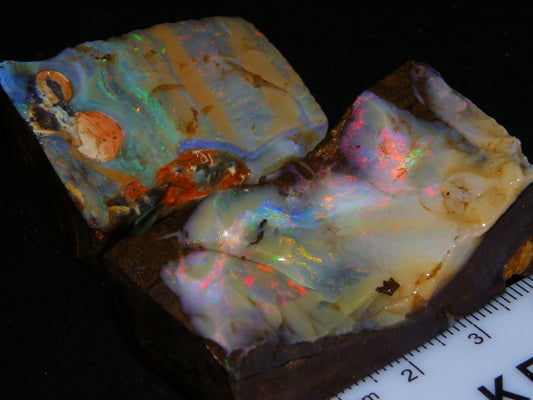 2 Nice Boulder Opal Rough Specimens 400cts Queensland Australia Fires/Patterns