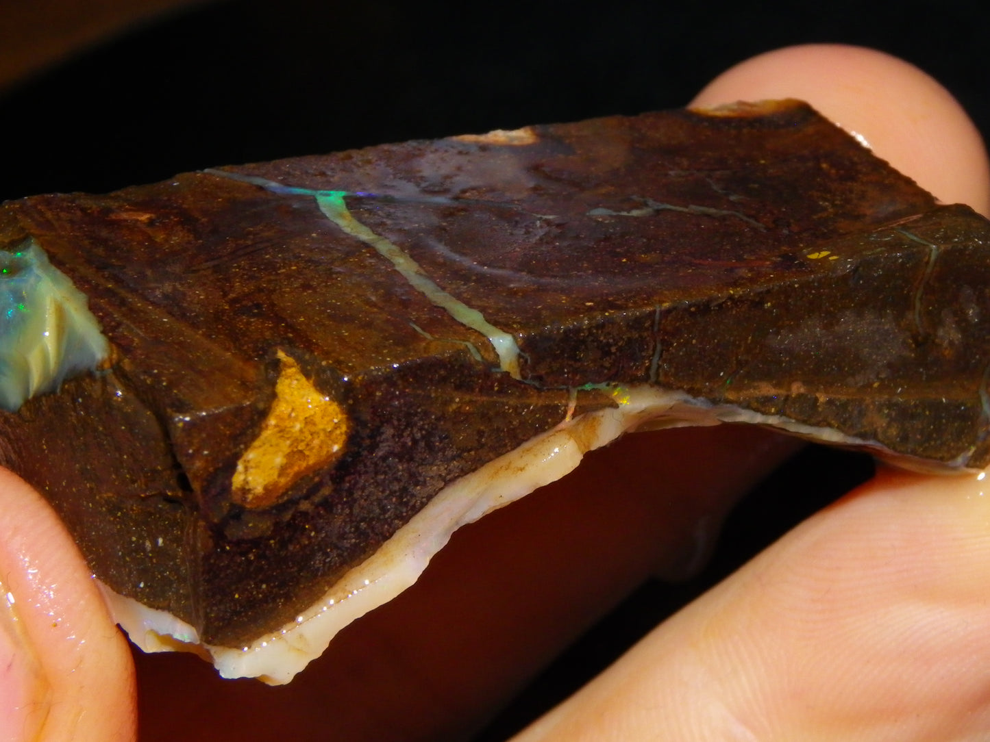 2 Nice Boulder Opal Rough Specimens 400cts Queensland Australia Fires/Patterns