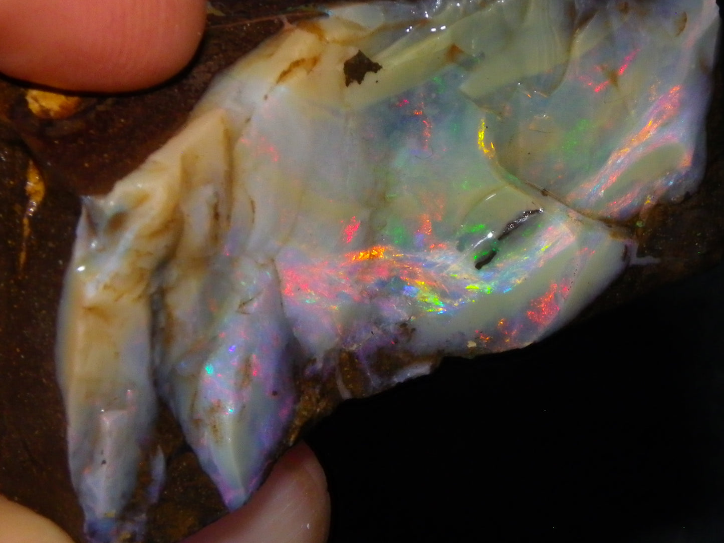 2 Nice Boulder Opal Rough Specimens 400cts Queensland Australia Fires/Patterns