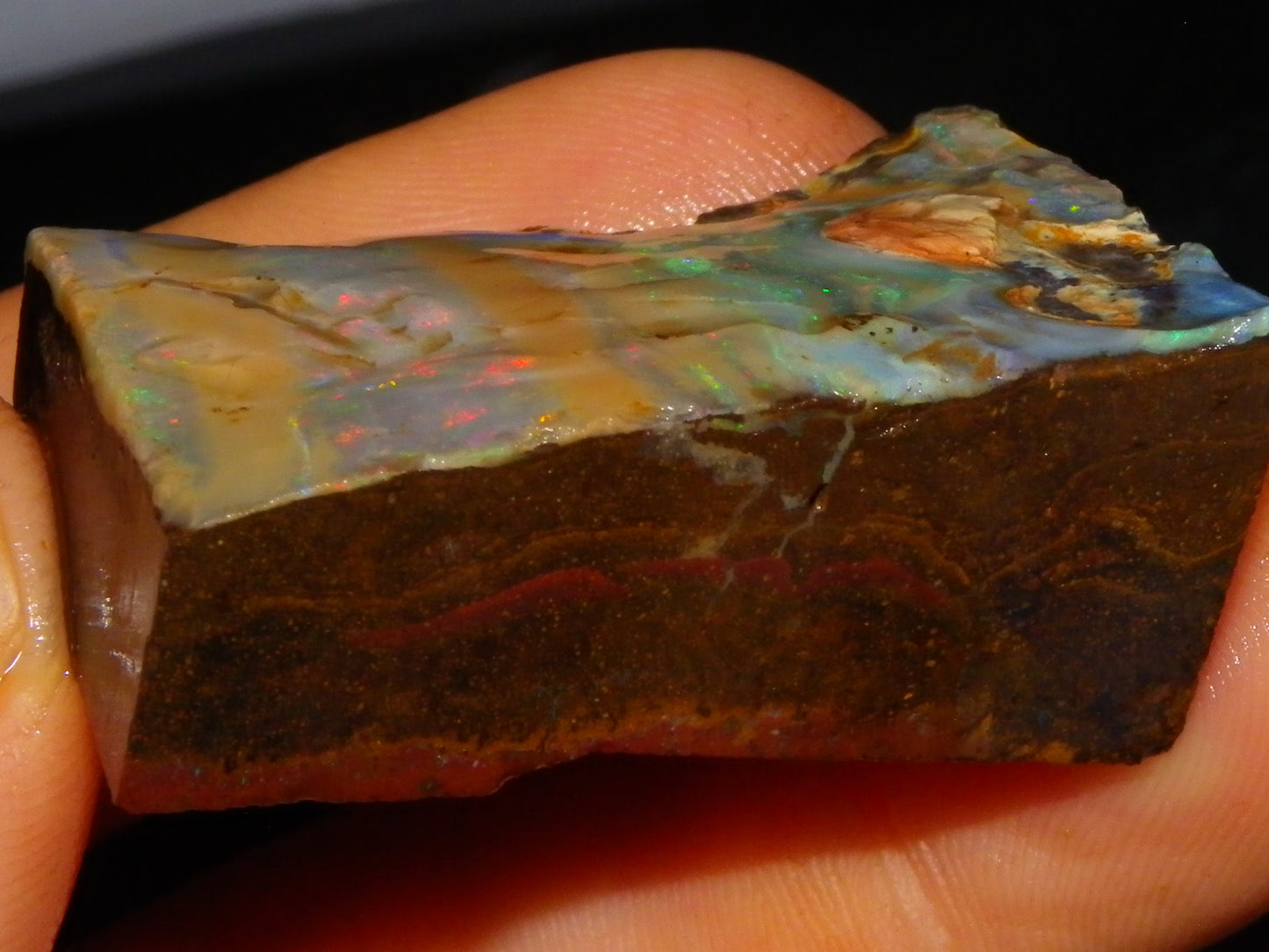 2 Nice Boulder Opal Rough Specimens 400cts Queensland Australia Fires/Patterns