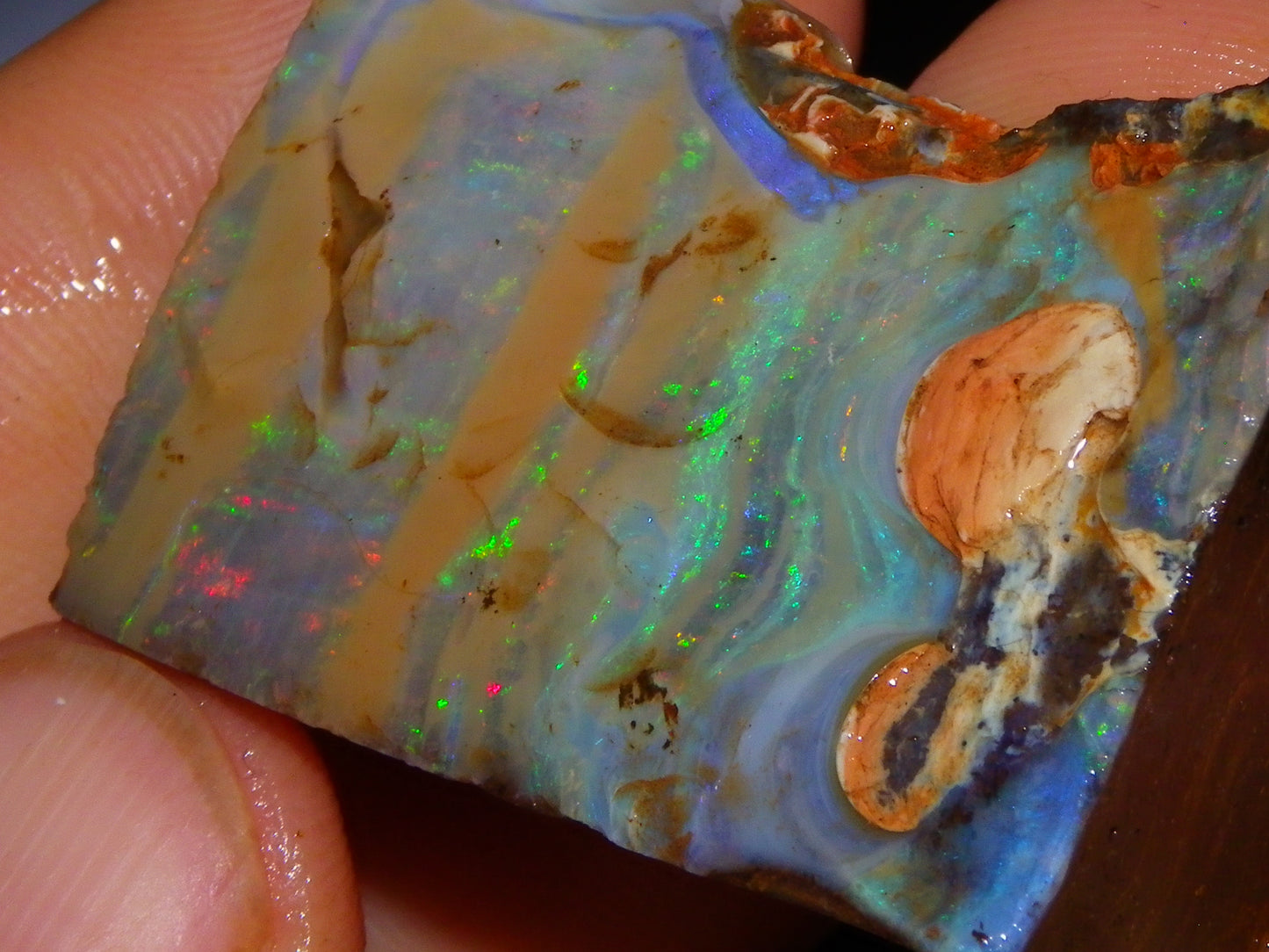 2 Nice Boulder Opal Rough Specimens 400cts Queensland Australia Fires/Patterns