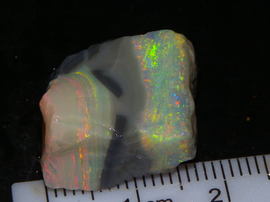Quality Lightning Ridge Seam Opal Rough Stone 25cts Multicolours 2 Sections