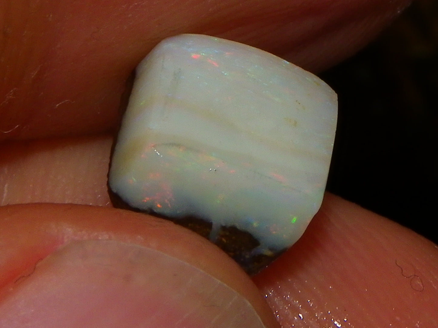 Queensland Boulder Opal Rough/Rubs/Cab 249cts Blue/Greens Some Lower Grades too.