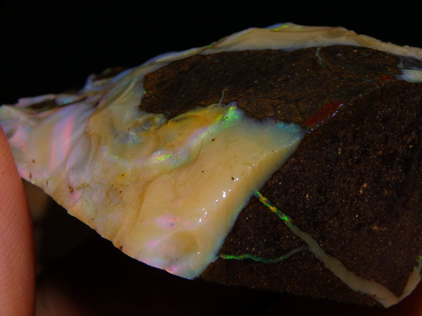 2 Nice Chunky Rough/Sliced Boulder Opal Specimens 705cts Queensland Australia