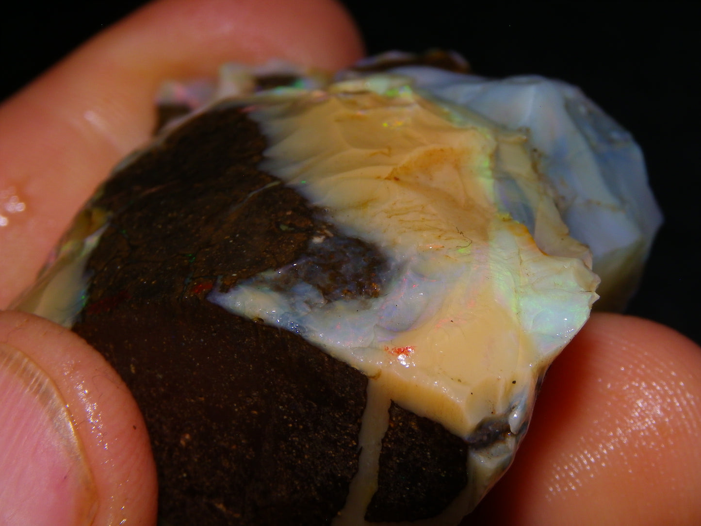 2 Nice Chunky Rough/Sliced Boulder Opal Specimens 705cts Queensland Australia