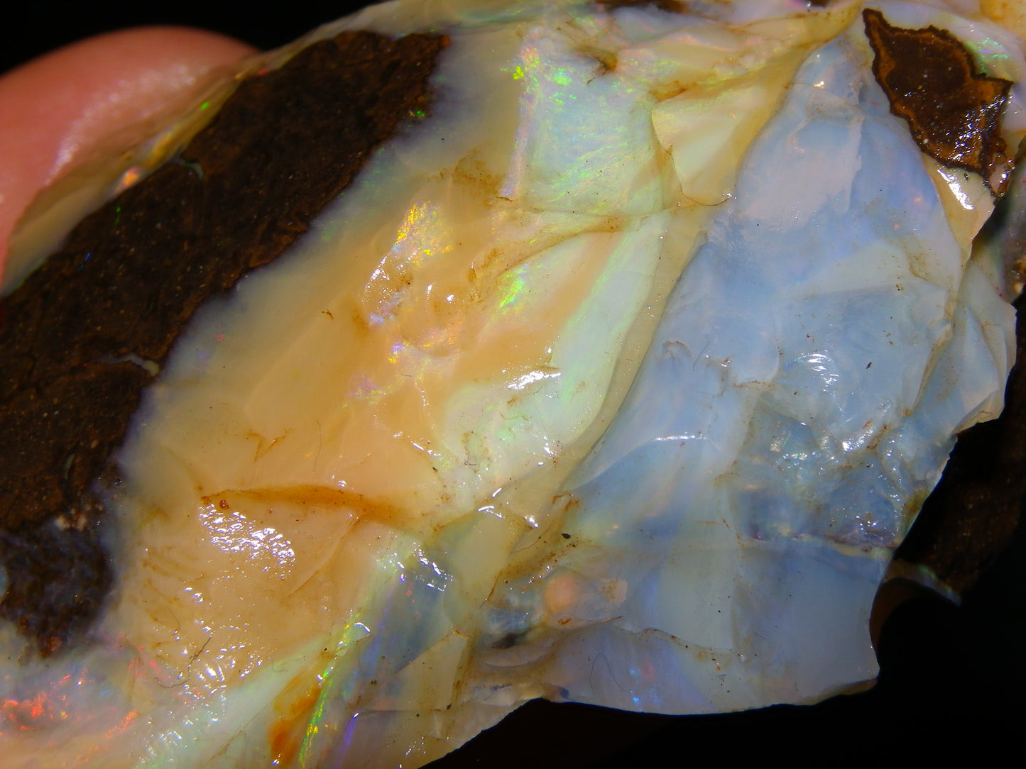2 Nice Chunky Rough/Sliced Boulder Opal Specimens 705cts Queensland Australia