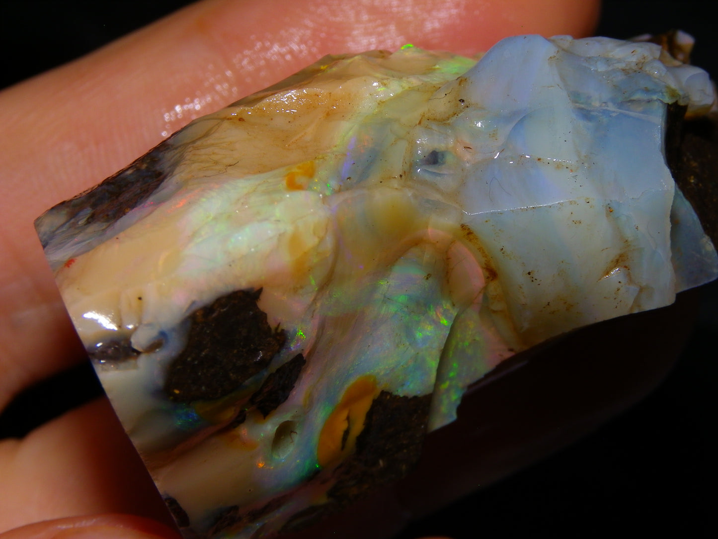 2 Nice Chunky Rough/Sliced Boulder Opal Specimens 705cts Queensland Australia