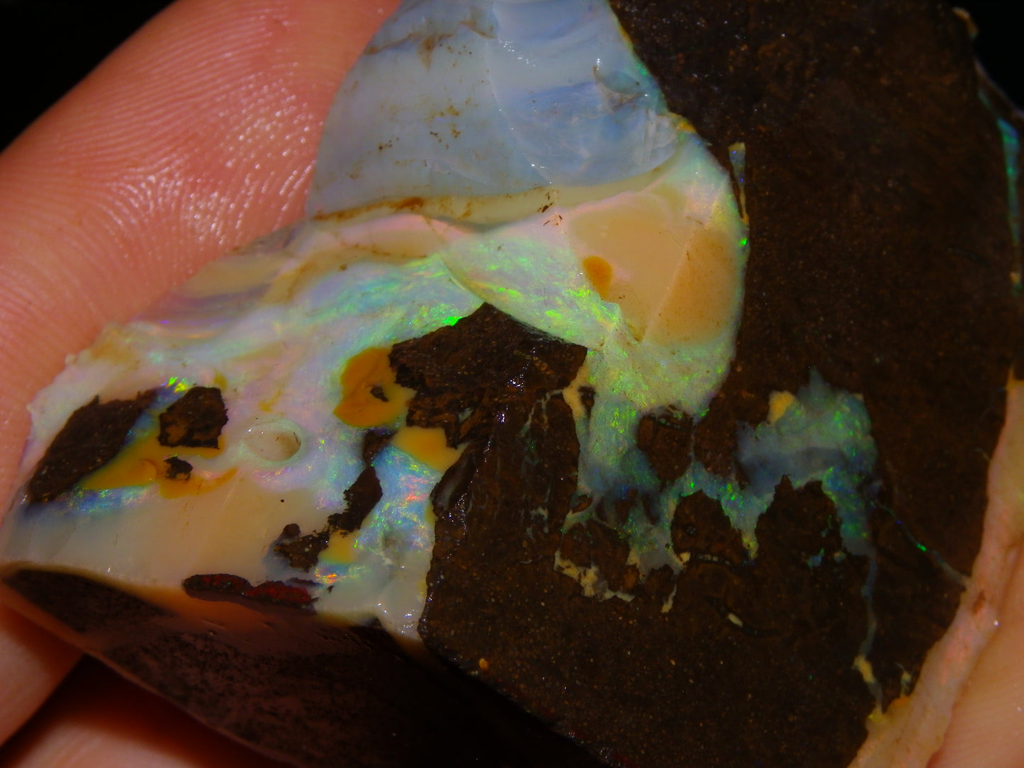 2 Nice Chunky Rough/Sliced Boulder Opal Specimens 705cts Queensland Australia