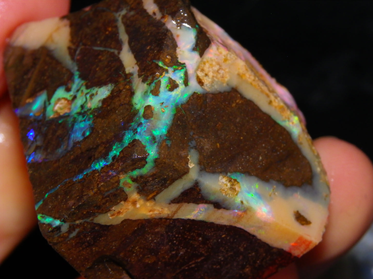 2 Nice Chunky Rough/Sliced Boulder Opal Specimens 705cts Queensland Australia