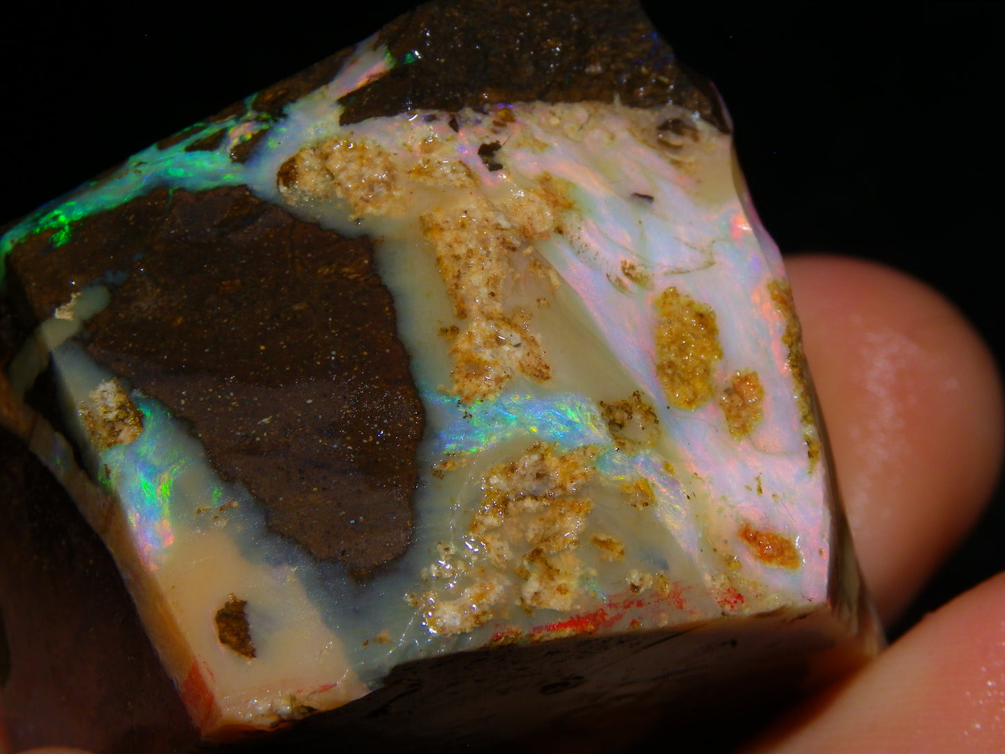 2 Nice Chunky Rough/Sliced Boulder Opal Specimens 705cts Queensland Australia