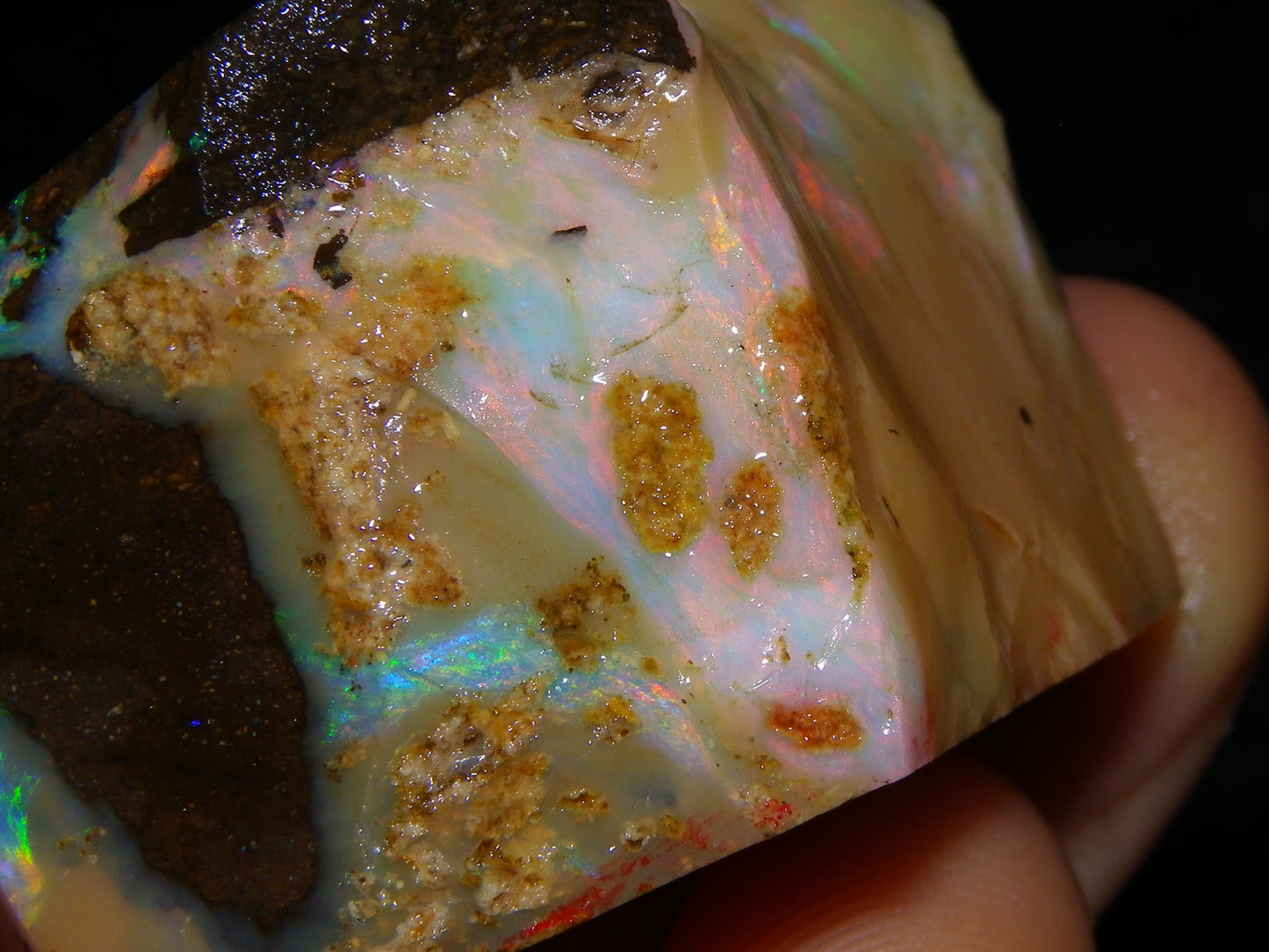 2 Nice Chunky Rough/Sliced Boulder Opal Specimens 705cts Queensland Australia