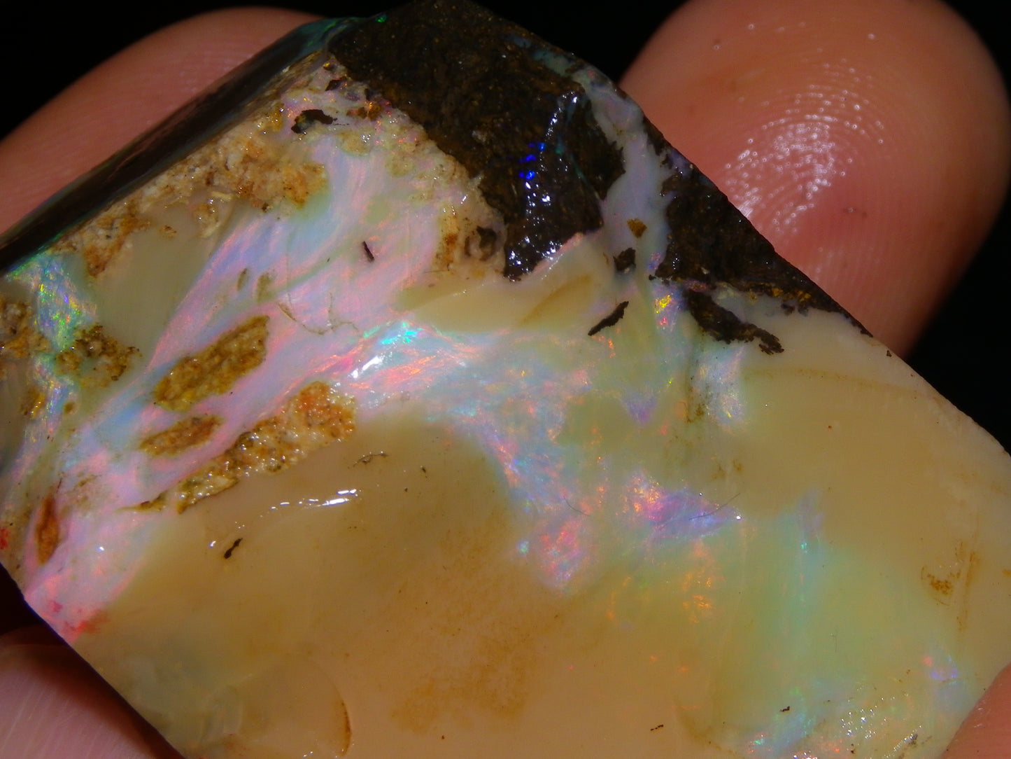 2 Nice Chunky Rough/Sliced Boulder Opal Specimens 705cts Queensland Australia
