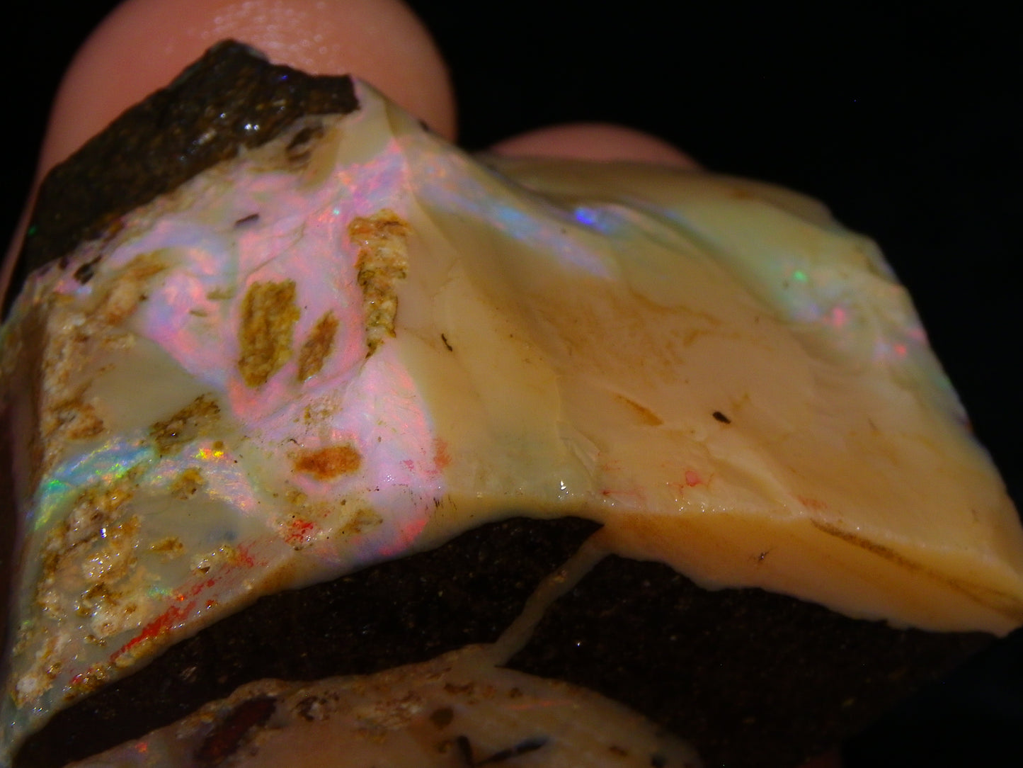 2 Nice Chunky Rough/Sliced Boulder Opal Specimens 705cts Queensland Australia
