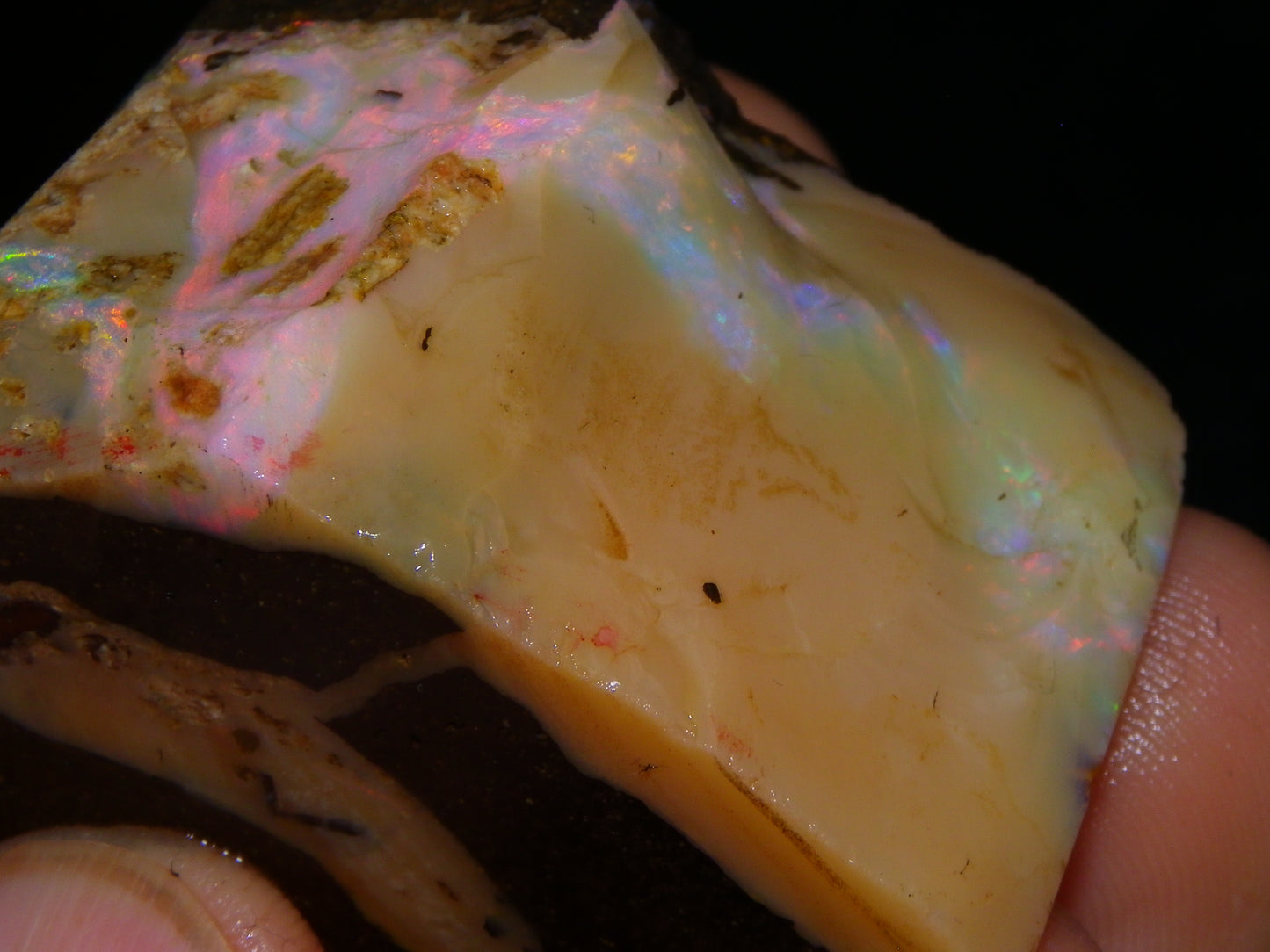 2 Nice Chunky Rough/Sliced Boulder Opal Specimens 705cts Queensland Australia
