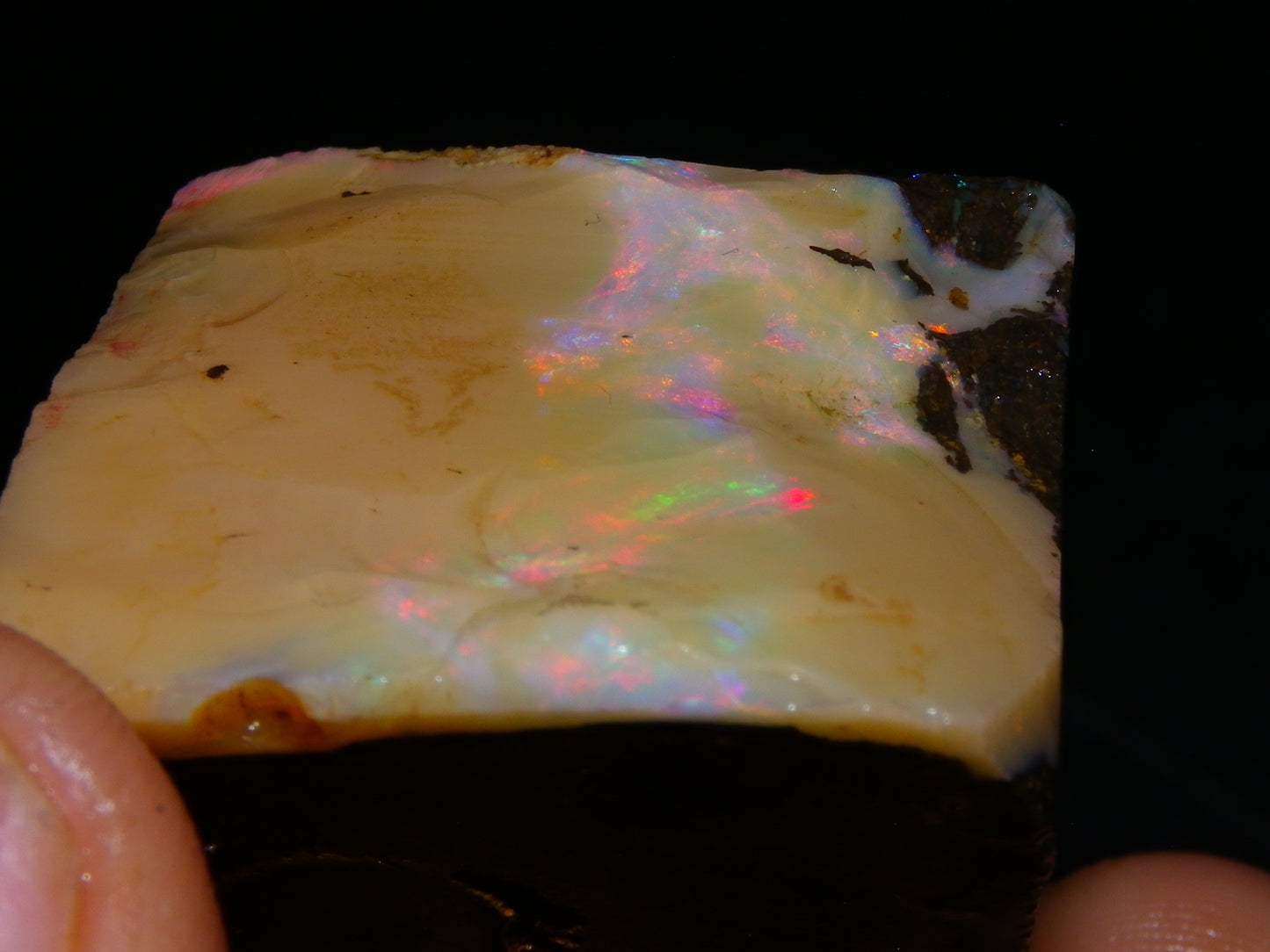 2 Nice Chunky Rough/Sliced Boulder Opal Specimens 705cts Queensland Australia