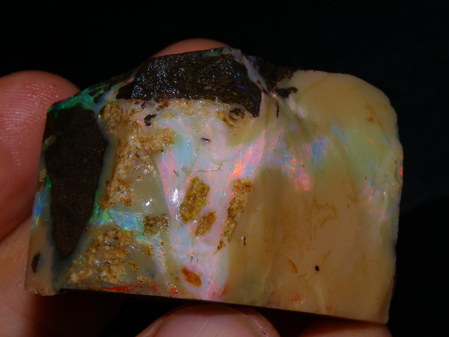 2 Nice Chunky Rough/Sliced Boulder Opal Specimens 705cts Queensland Australia