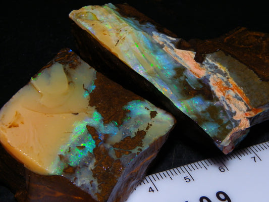 2 Nice Rough Boulder Opals Specimens 809cts Queensland Australia Some Fires Green/Blue