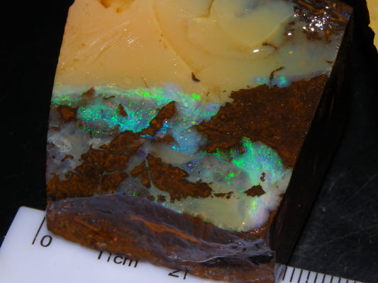 2 Nice Rough Boulder Opals Specimens 809cts Queensland Australia Some Fires Green/Blue