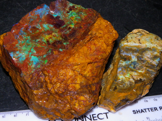 2 Larger Rough Boulder Opal Specimens 4698cts Queensland Australia Blue/Green Fires