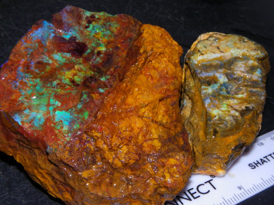2 Larger Rough Boulder Opal Specimens 4698cts Queensland Australia Blue/Green Fires