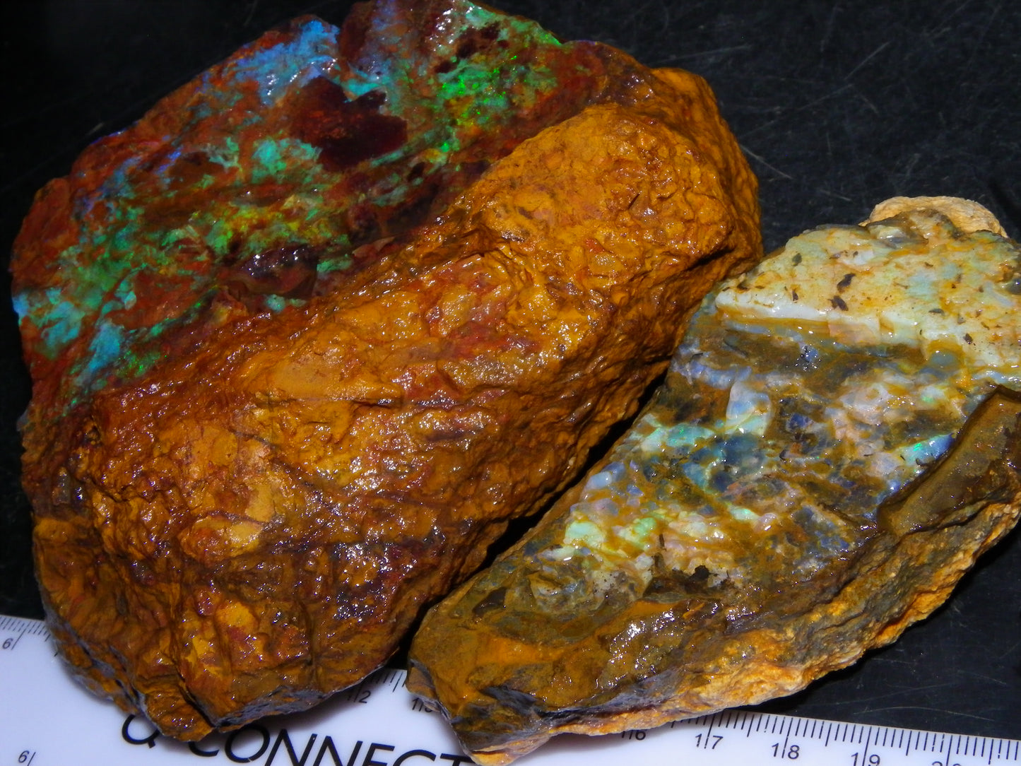 2  Larger Rough Boulder Opal Specimens 4698cts Queensland Australia Blue/Green Fires