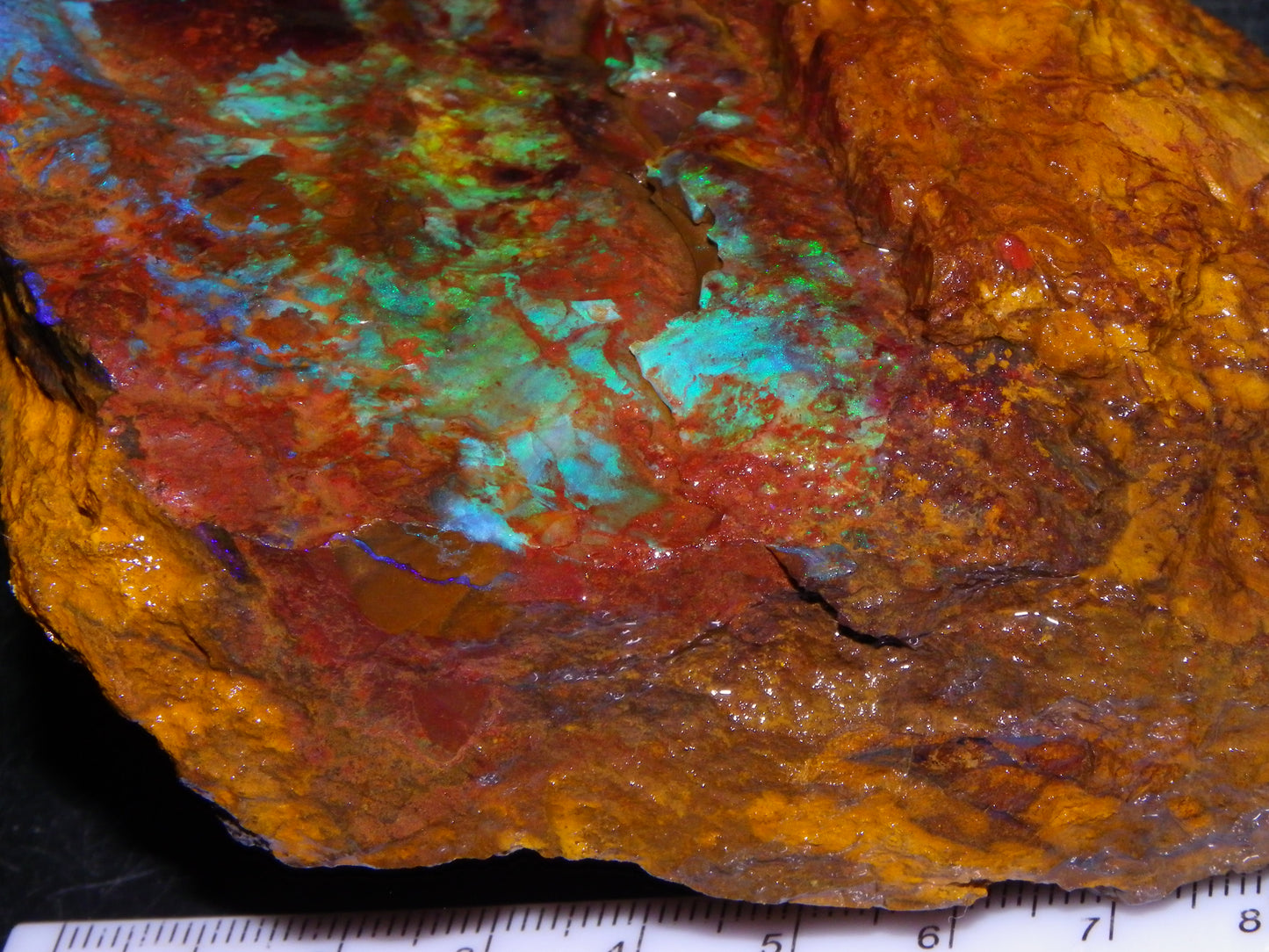 2  Larger Rough Boulder Opal Specimens 4698cts Queensland Australia Blue/Green Fires