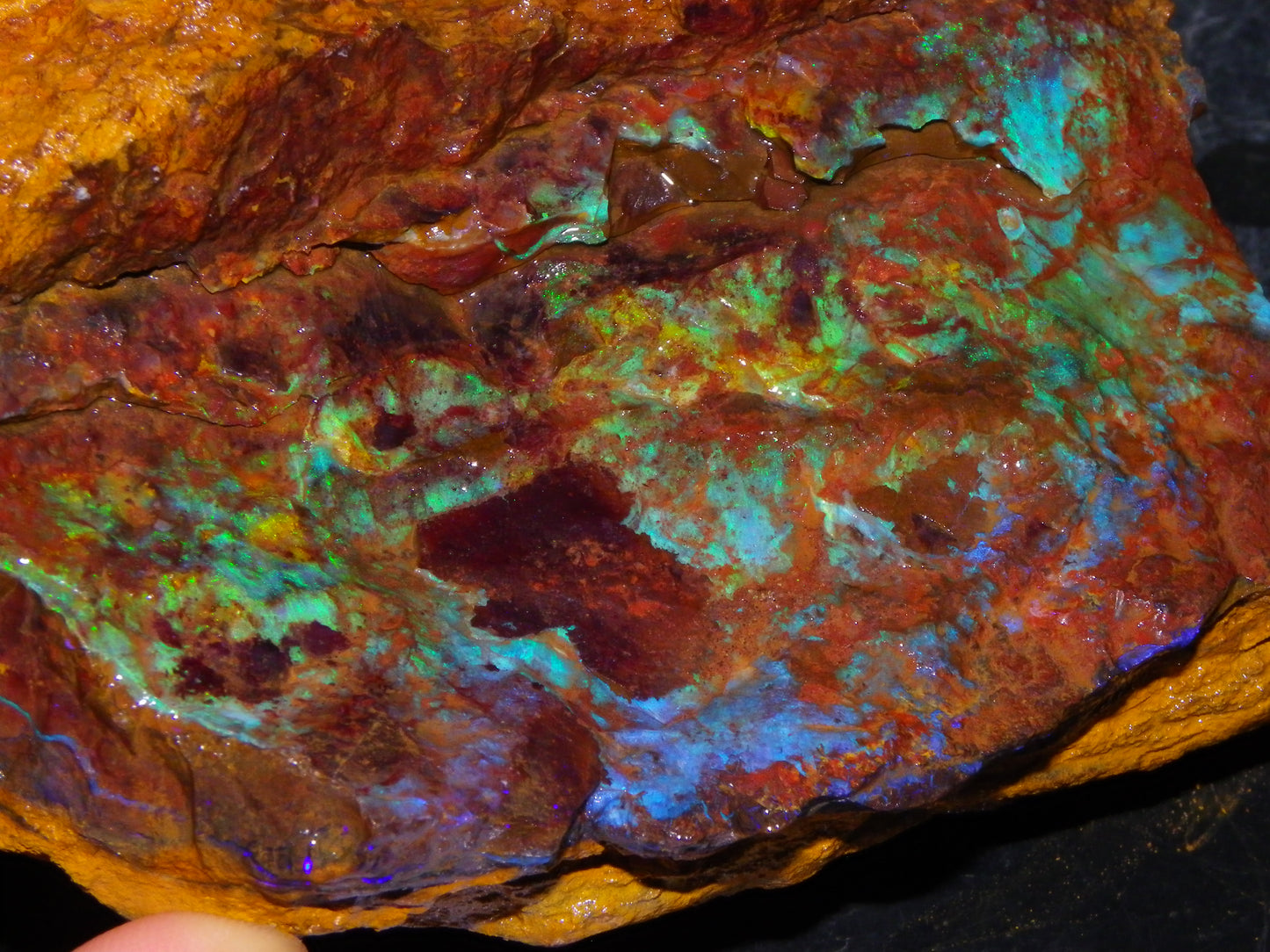 2  Larger Rough Boulder Opal Specimens 4698cts Queensland Australia Blue/Green Fires