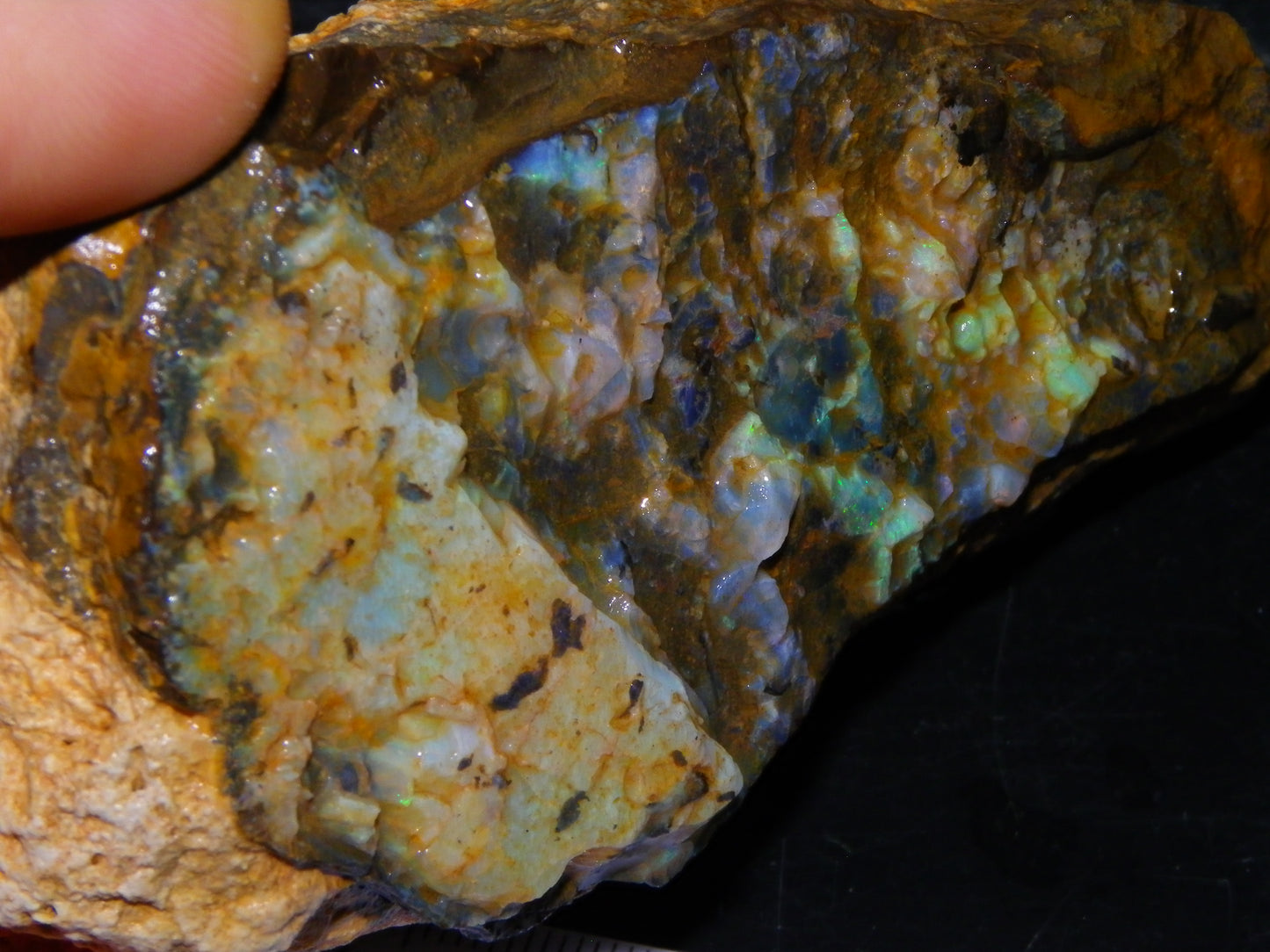 2  Larger Rough Boulder Opal Specimens 4698cts Queensland Australia Blue/Green Fires